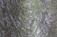 Skerton fibreglass roof work